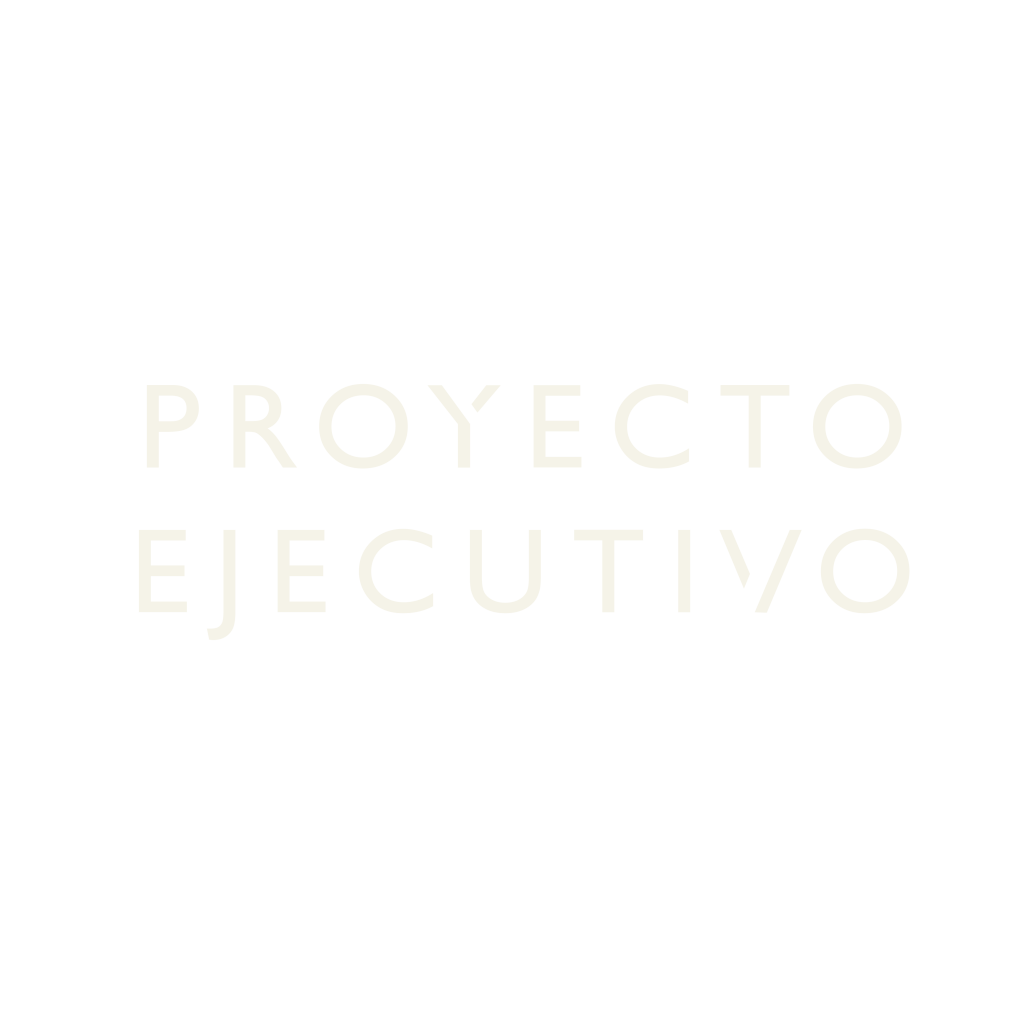 Gráfico blanco de Proyecto Ejecutivo | Servicios Badra Estudio