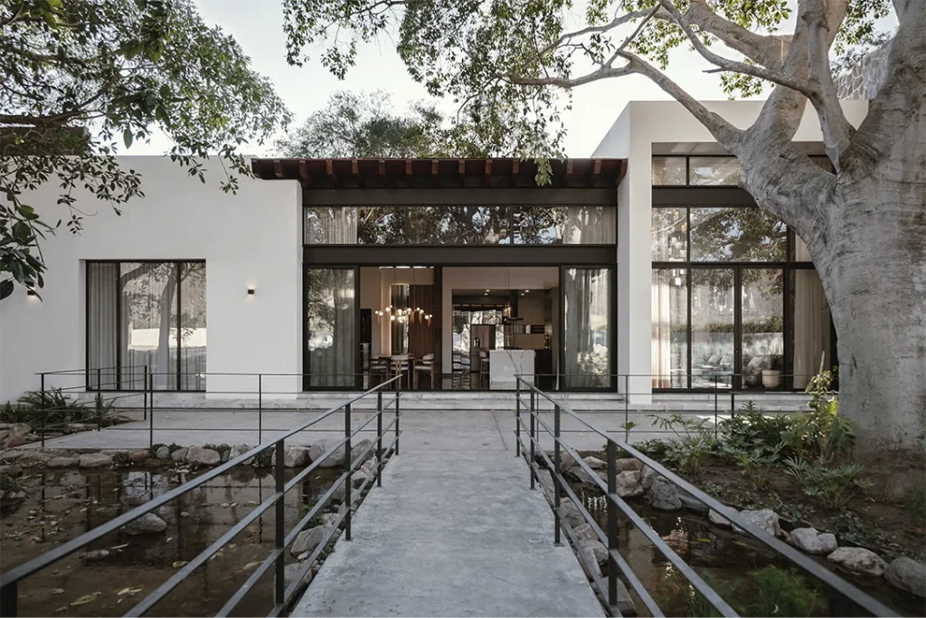 Conoce más sobre el proyecto Rancho JT